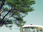 Incubator Blanket Fort