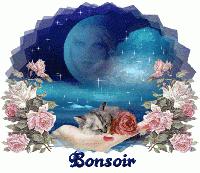 Poulet caramélisé et ses aubergines dorées