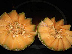 Le-melon-au-porto-2-copie-1.jpg