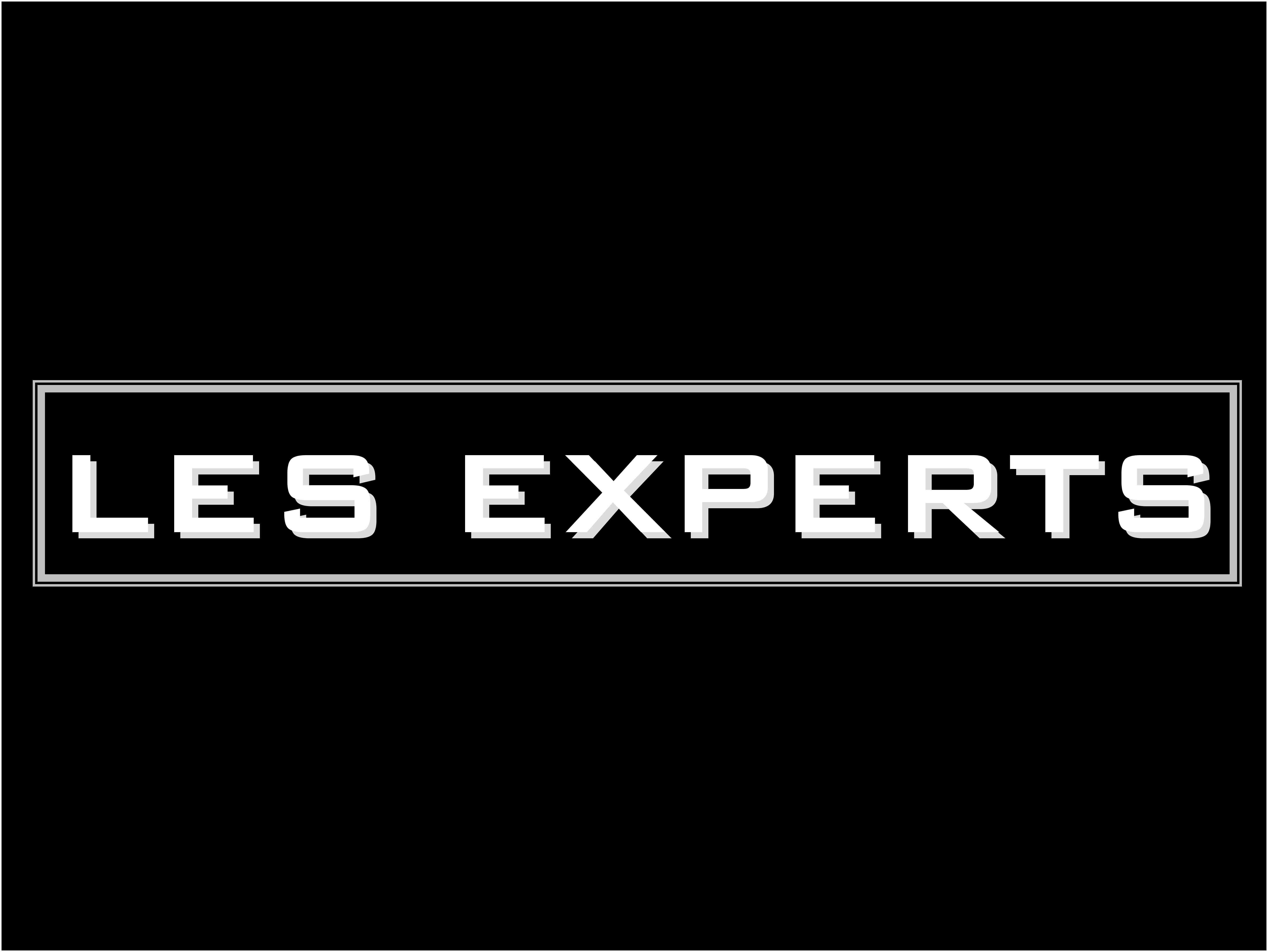 Série : Les experts (Saison 11)