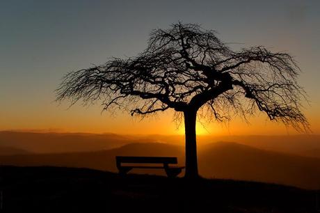 Interview photographe – Sébastien FANGET