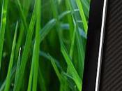 Tests coques iPad chez Crazyphonic