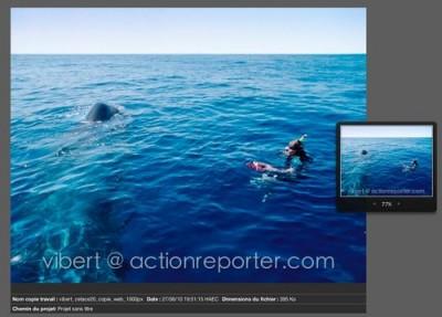 Test : Aperture 3 face à Lightroom 3 (part 3)