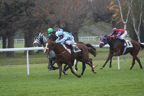 course-followers-twitter-1