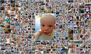 Tadata...grrr... ammmmammmm...... toto.... ta !