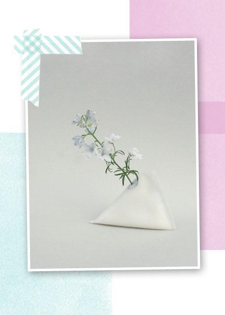 Detournement de Fleurs