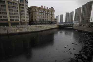 Une marée noire peut en cacher une autre