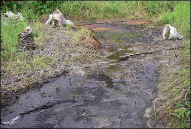 Une marée noire peut en cacher une autre
