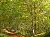 Grenelle colloque organisé Conseil d'Etat Ministère l'Ecologie octobre