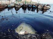 Marée noire Chine: craintes l'impact écologique