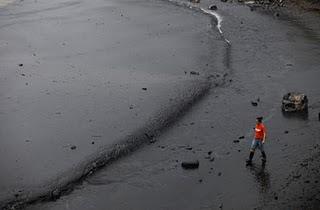 Marée noire en Chine: craintes sur l'impact écologique