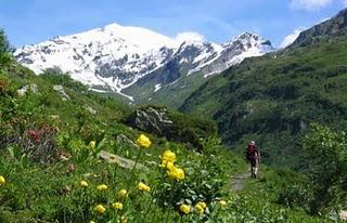 Pathos.... pas tous.....