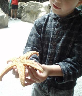 Sous le signe de la mer, tactile