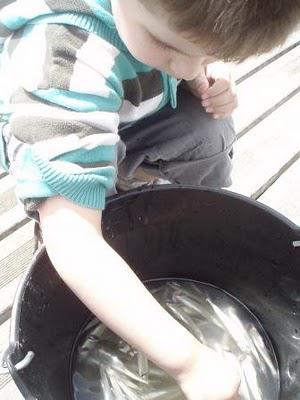 Sous le signe de la mer, tactile