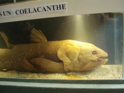 Sous le signe de la mer, tactile