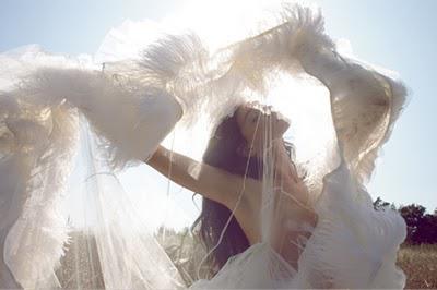 La seule ivresse du tournoiement,la vitesse des pieds ail...