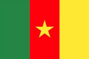 Billetterie en ligne ouverte pour la « Grande soirée Camerounaise »!
