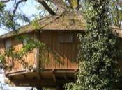 Bretagne, guide touriste écolo (livre iphone)