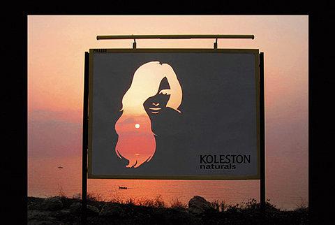 Koleston-Naturals-Change.jpeg