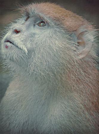 After_the_fight_Daaram