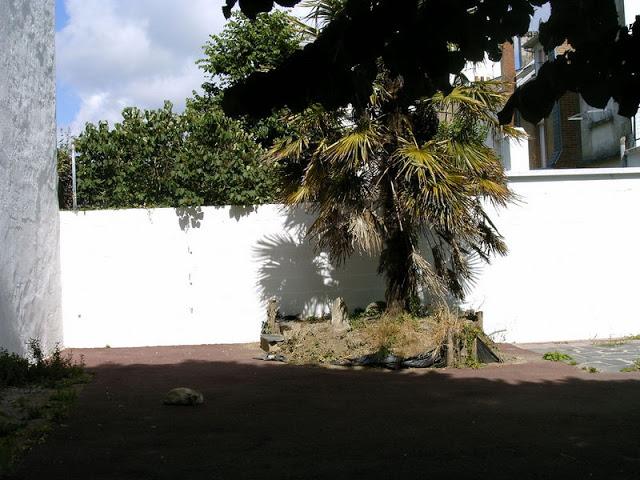 PHOTO EN VISITE GUIDEE , pensée de chez Gustave et l'Amour toujours