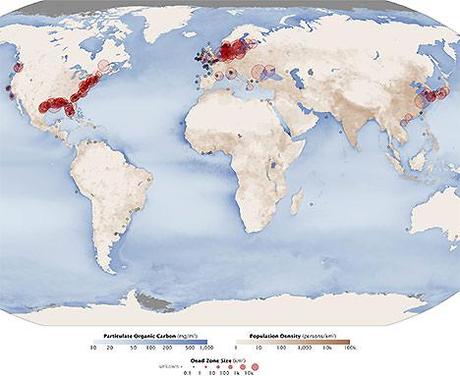mers et océans: l'évolution des zones mortes
