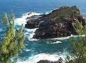 Petite-Île vendue Bettencourt