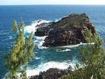 La Petite-Île vendue à Bettencourt