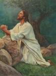 Jésus priant 14.jpg