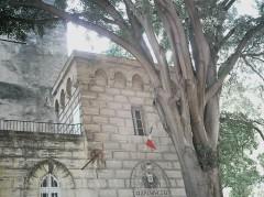 18 haut archives square fac droit dim (929 x 696).jpg