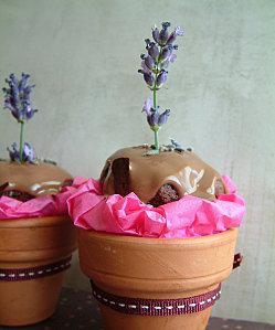 Cupcakes Pot De Fleurs Chocolat Lavande-2
