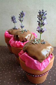 Cupcakes Pot De Fleurs Chocolat Lavande-4
