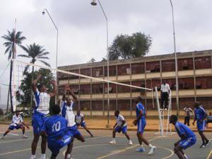 Coupe du monde de volley-ball : Des Lions toujours à Yaoundé