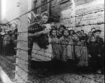 Enfants à Auschwitz 3.jpg