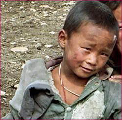 gamin-tibet.1277199178.jpg