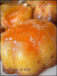 moelleux abricot caram+®lis+®s 012-1