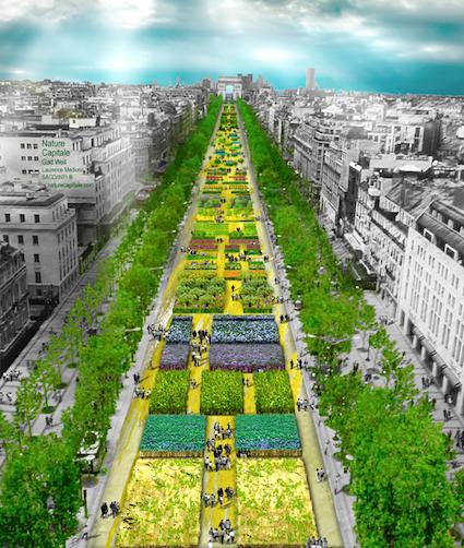 Quand Paris se transforme en jardin-potager géant!