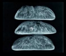 Quand la joaillerie s’associe avec la boulangerie…