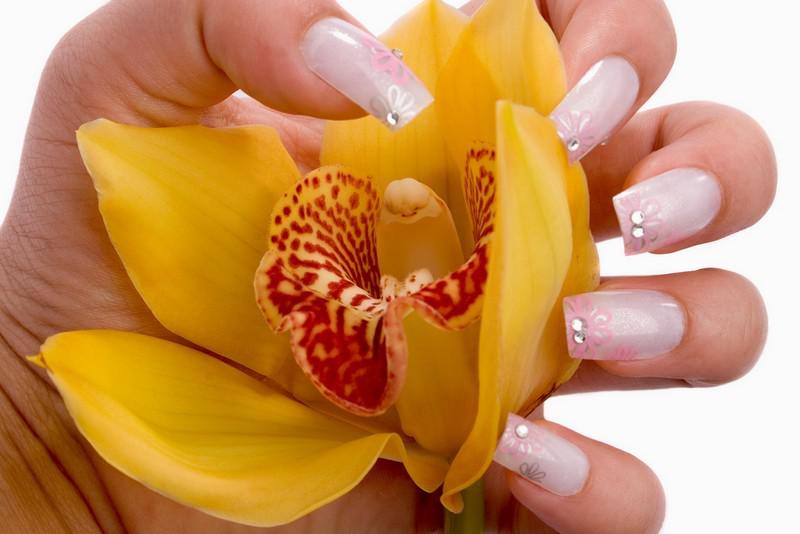 Les produits naturels pour un beauté intense et écolo !