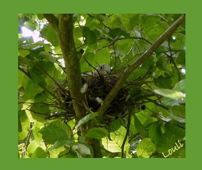 C'est encore une heureuse découverte et cette fois-ci, c'...