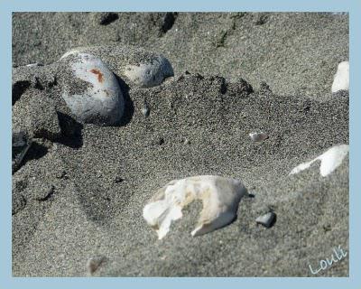 Journée estivale...