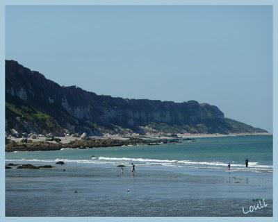 Journée estivale...