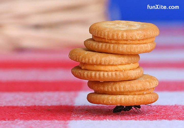 Le premier jour du reste de ma vie