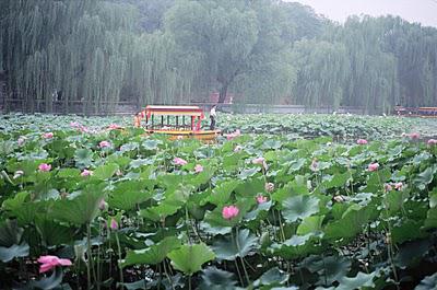 Méprisables photos de la belle ville de Pékin