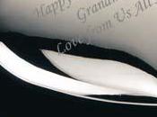 cadeau original assez sympa