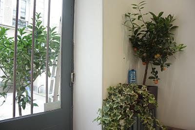 Aquapax@Les jardins d'Epicure