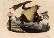 Un portrait d'Honoré Daumier