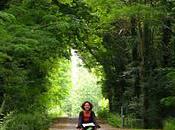 Canal MidiMios-Bazas