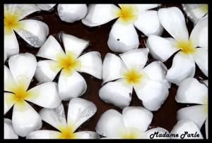 Quelques photos de là où je ne suis pas: les Maldives