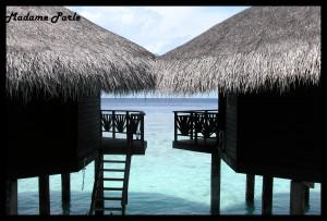 Quelques photos de là où je ne suis pas: les Maldives